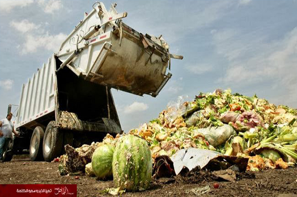 البنك الدولي: العالم يهدر 33% من الغذاء