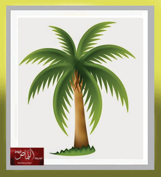 ظلمه وضوء ( كورونا ) – بقلم – أ. علي بن محسن