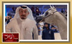 مربط مشعوف .. يقتني المهر الصاعد “أبلج خفاجي”