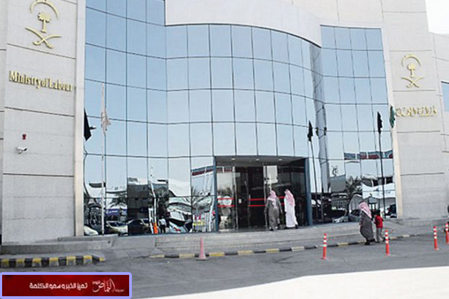 «العمل» توقف خدماتها عن 138 منشآة عملاقة