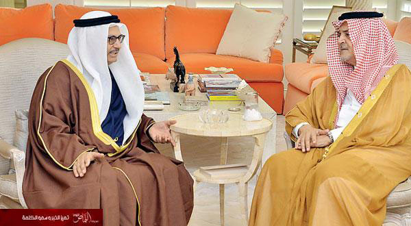 وزير الخارجية يبحث مع مسؤول إماراتي قضايا خليجية وإقليمية