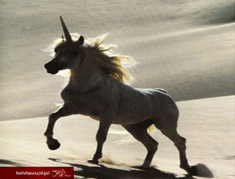 أكثر 10 أساطير أنتشاراً في العالم -(1)الحريش