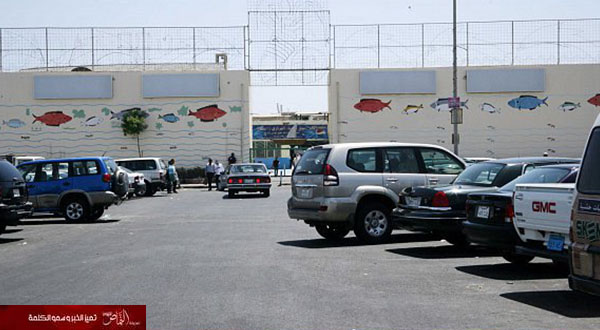 جدة: إتلاف 2650 كجم من الأسماك الفاسدة الشهر الماضي