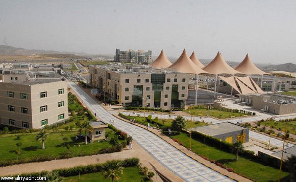 المملكة الثانية عربياً في النشر العلمي العالمي