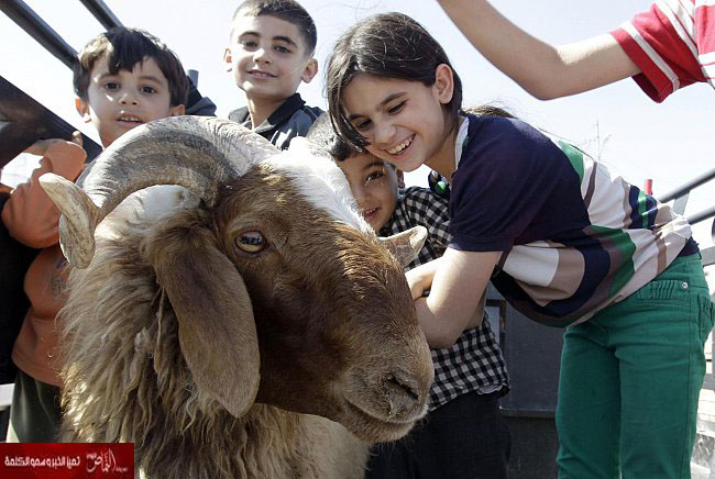 انتحار جندي مغربي لعجزه عن شراء أضحية العيد