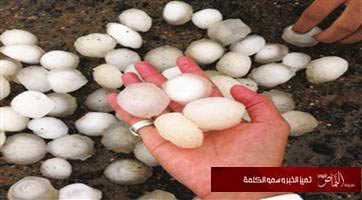 الأمطار: 10 آلاف بلاغ ووفاة طفل بنجران.. وبَرْد وبَرَد