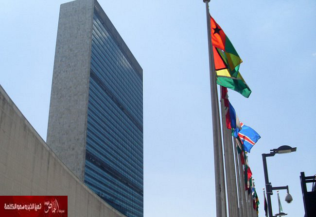 الأمم المتحدة تطرح معاهدة تجارة الأسلحة للتوقيعات