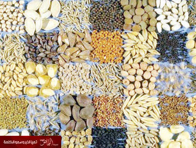 الداخلية: تنظيم يمنع استيراد البذور الزراعية دون فسح من المخدرات