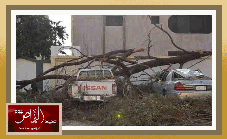 السرح13