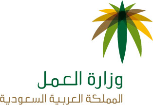 «العمل» و«الجوازات» والشُرطة: حملات ضبط العمالة السائبة مستمرة