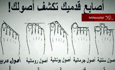 5 أنواع للقدم تقود إلى أصول البشر