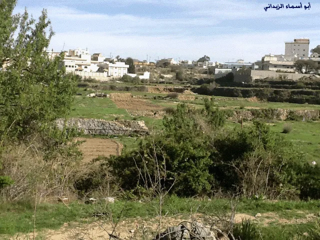 بالصور .. محافظة النماص بعد الأمطار