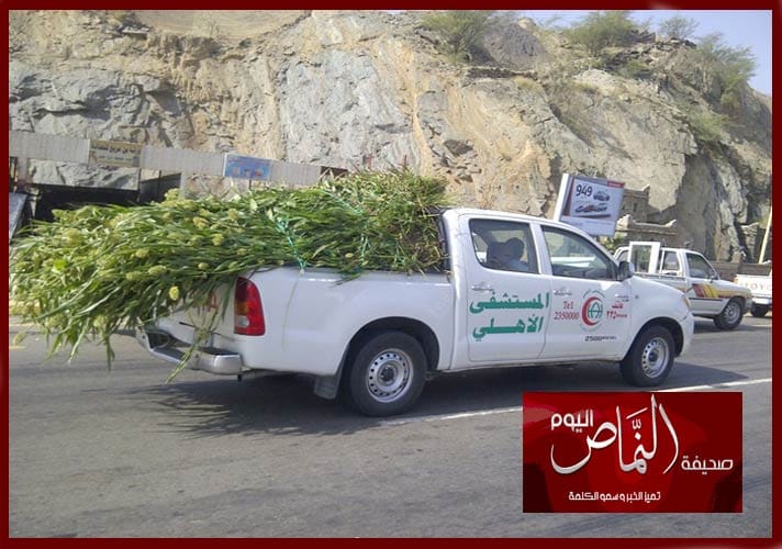 مركبة صحية تخالف القوانين والأنظمة بحمل أعلاف المواشي