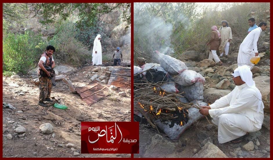 بمساعدة قبيلة خشرم .. الإطاحة بإثيوبيين يقطعون الأشجار