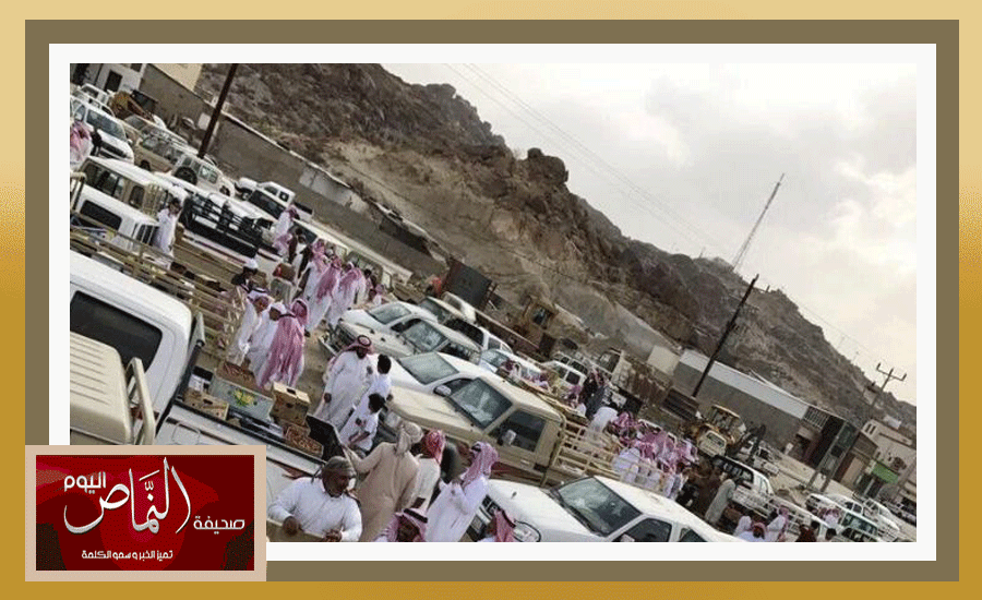 تمور11