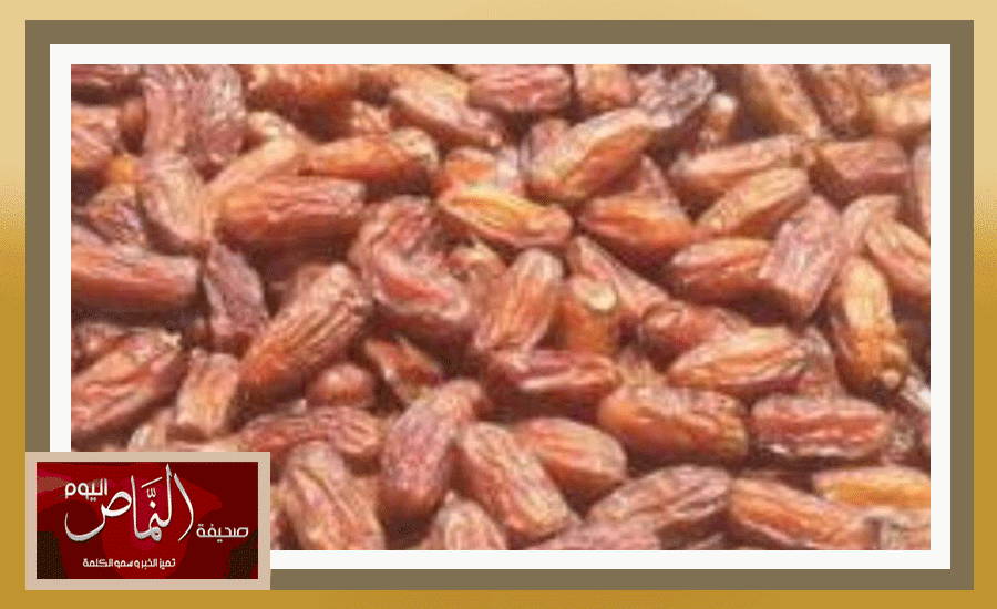 تمور3