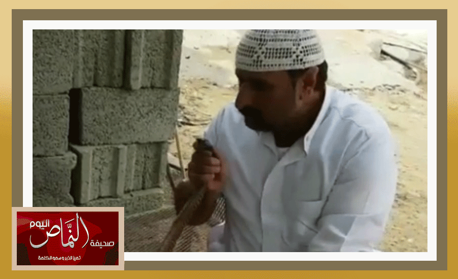 “صالح الشهري” عاشق الثعابين يصطاد كوبرا أثناء سرقتها للبيض