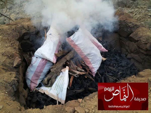 في “عقبة تلاع النماص” .. مجهولون يتاجرون بأحطاب الأشجار بعد تفحيمها