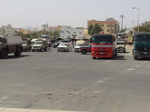 موسم الصيف وارتفاع اسعار الاغنام
