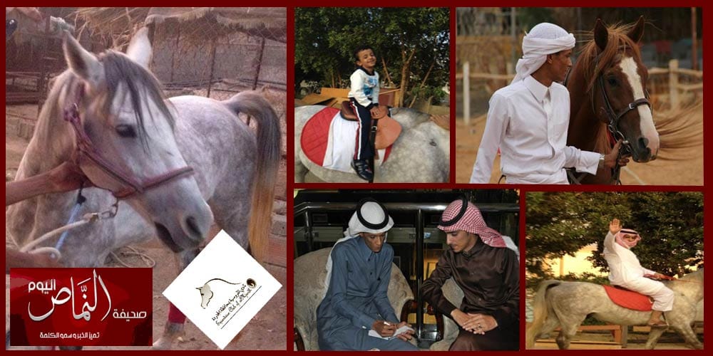 بجهود شبابية نادي الفروسية بالمجاردة تحت التنفيذ .. والجيادي وابن حنفان ينتظرون الداعمين والهواة
