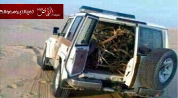 شبكات التواصل تتداول صورة لدورية أمن محملة بالحطب بعد حلقة «الاحتطاب الجائر» لـ«الشريان»