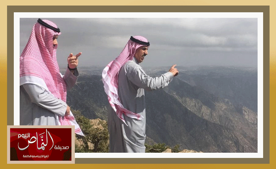 دولي2