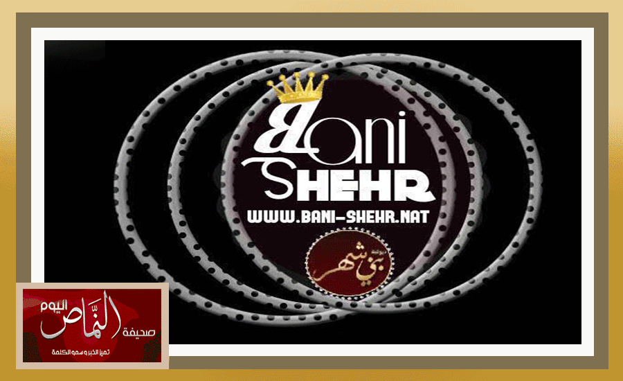 ديوانيه29