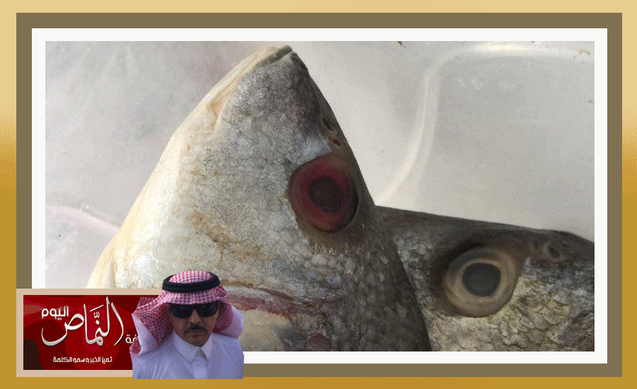 سمك1