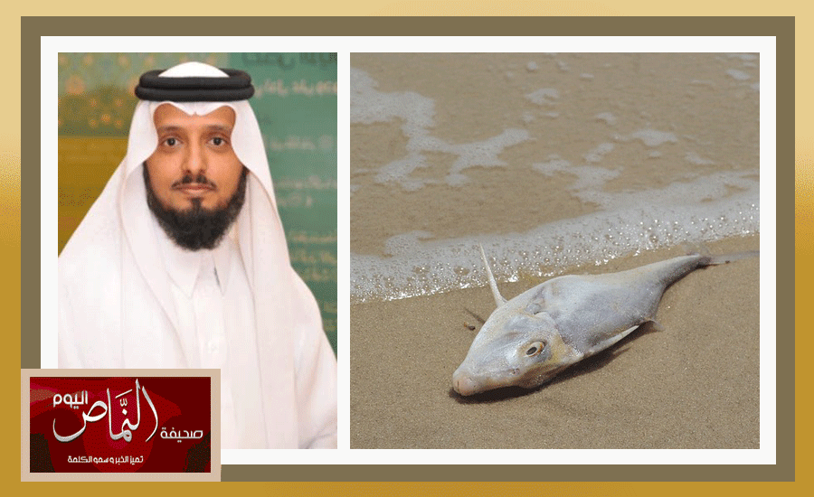 محمد الشهري .. نفوق أسماك الشرقية تصرف سلبي من أحد الصيادين