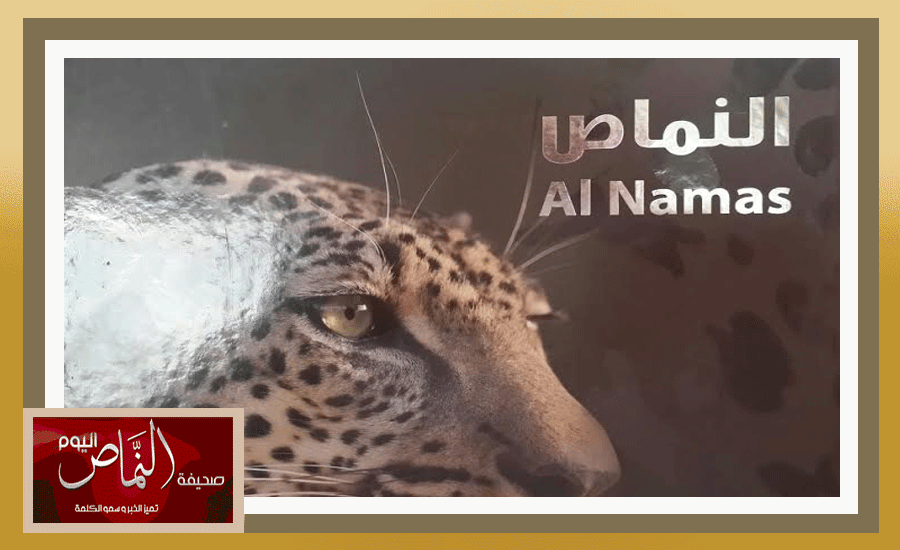 سياحي3