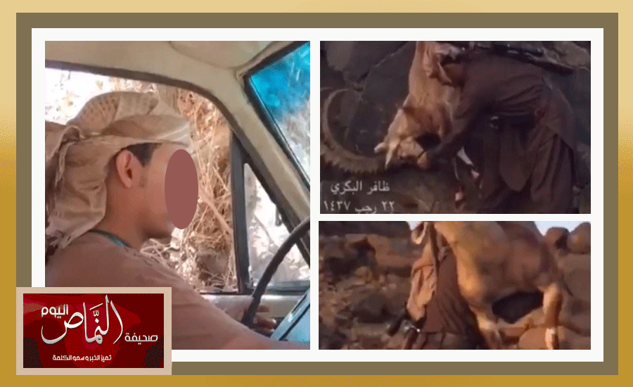 الصيد الجائر بالنماص يهاجم الثروة الحيوانية، والرقابة دورها بين الغفلة وغض الطرف