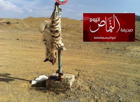 التشفي أو التباهي بقتل الحيوانات البرية .. والحياة الفطرية تلتزم الصمت