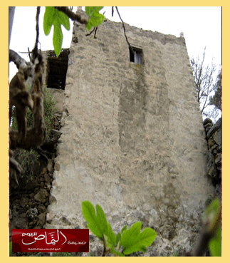 وطن الشموخ والإباء – الأستاذ : ظافر وزي الله الشهري