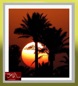 ” رثائية على لحن الغروب ”  – بقلم الشاعر  د. ناصر الأبيض الشهري