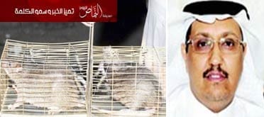 جهاز آيفون لكل مواطن يصطاد 60 فأرًا حيًّا كان أو ميتًا بجدة