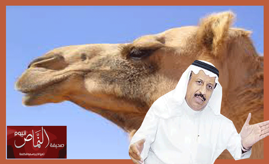 جابر الشهري .. يقابل باللوم لعدم اقراره بان الابل هي الناقل لفيروس الكورونا