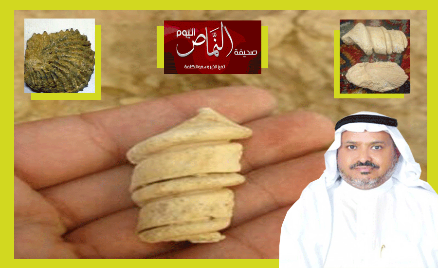  الدكتور العمري .. قواقع وادي الدواسر بقيت بعد انحسار بحر التيتي  قبل 30 مليون سنة