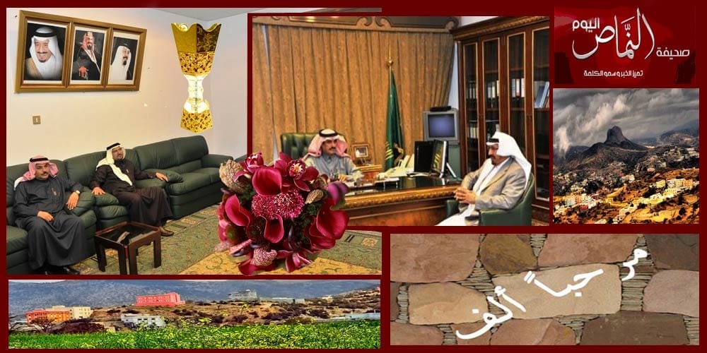 محافظ النماص يستقبل نائب القطاع الجنوبي للشركة السعودية للكهرباء
