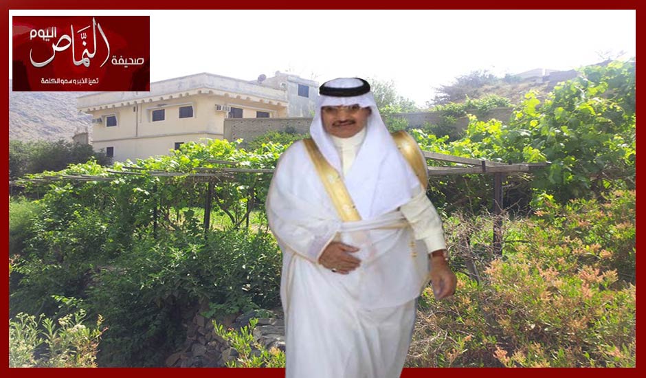 العمري .. مهرجان للعنب وفعاليات شبابية في صيف بلقرن