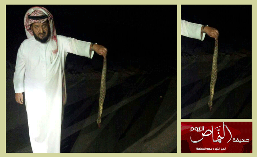 مواطن يقتل حيه بالنماص .. وفرع الزراعة لا يحرك ساكنا كعادته في كل صيف