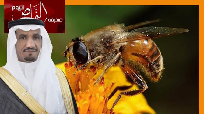 مهرجان للعسل في شتوي المجاردة لهذا العام 1434هـ