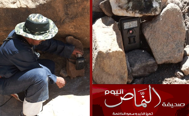 نجاح تسجيل صوت النمر العربي في جبال تنومة