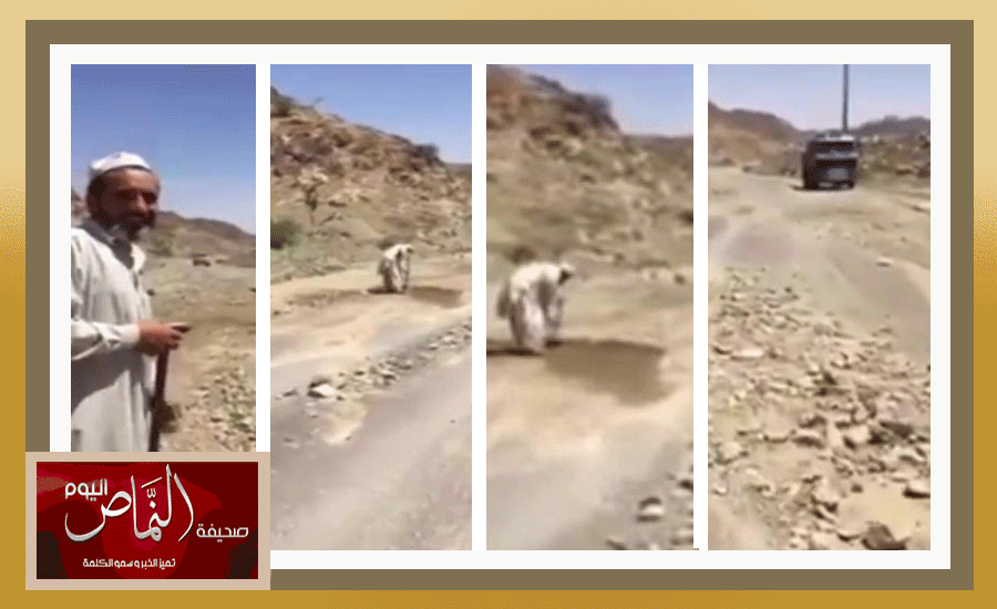 وافد باكستاني يتطوع لتنظيف طريق من الحجارة والصخور في القوباء