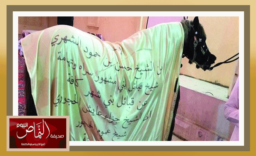 ينبع11
